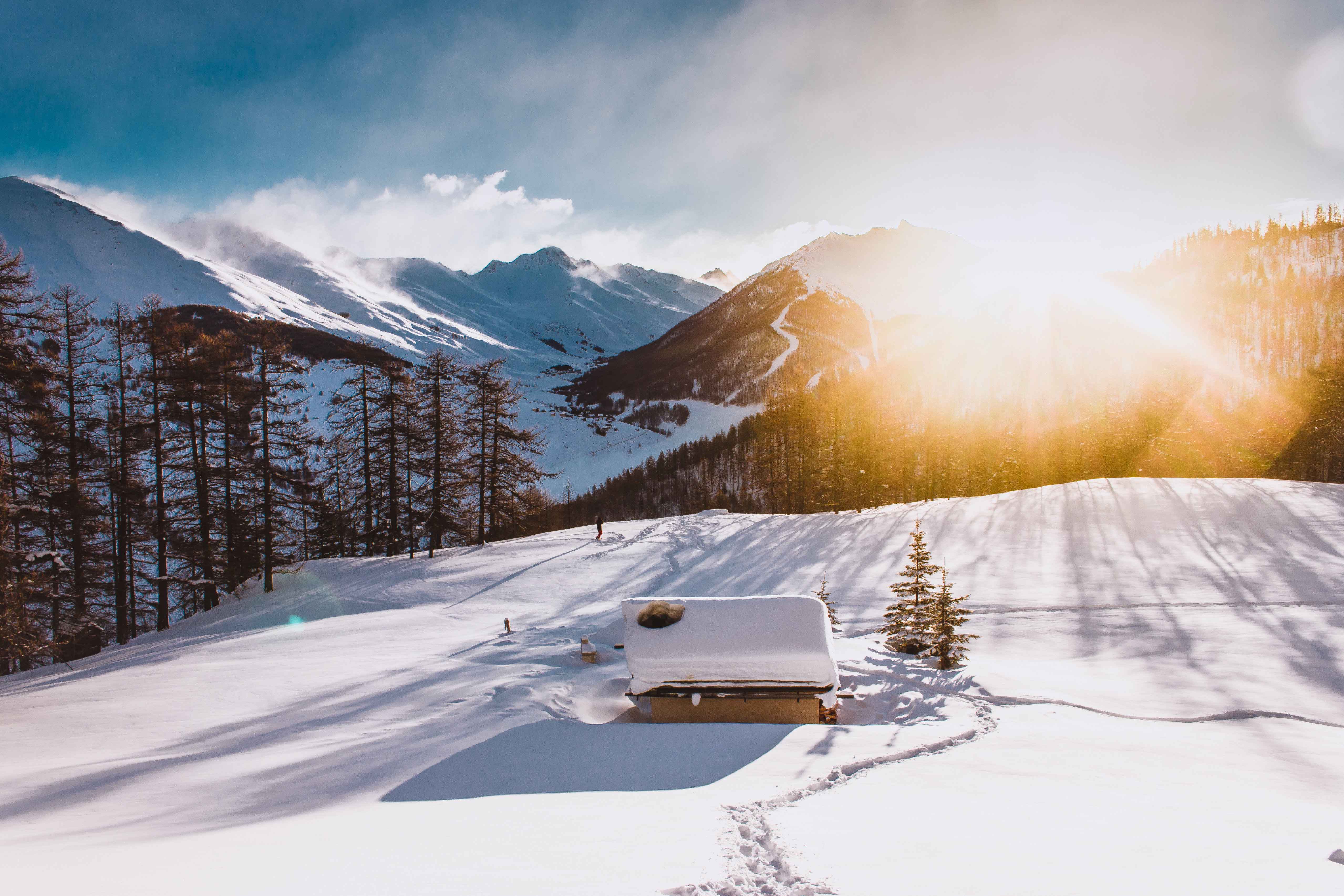 壁纸精选分享：第20231225期