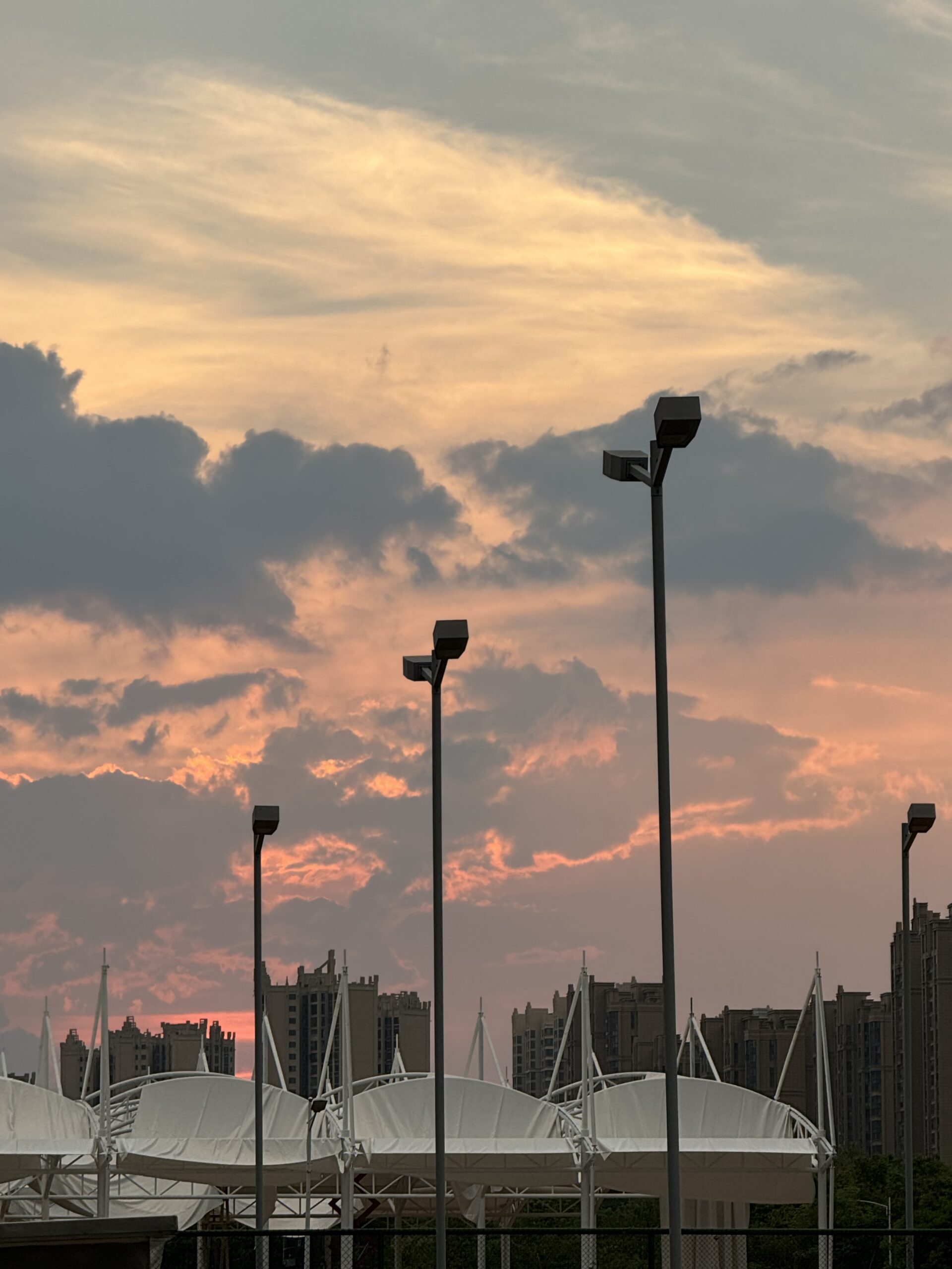 竹官十兄的头像-心动未来iOS证书